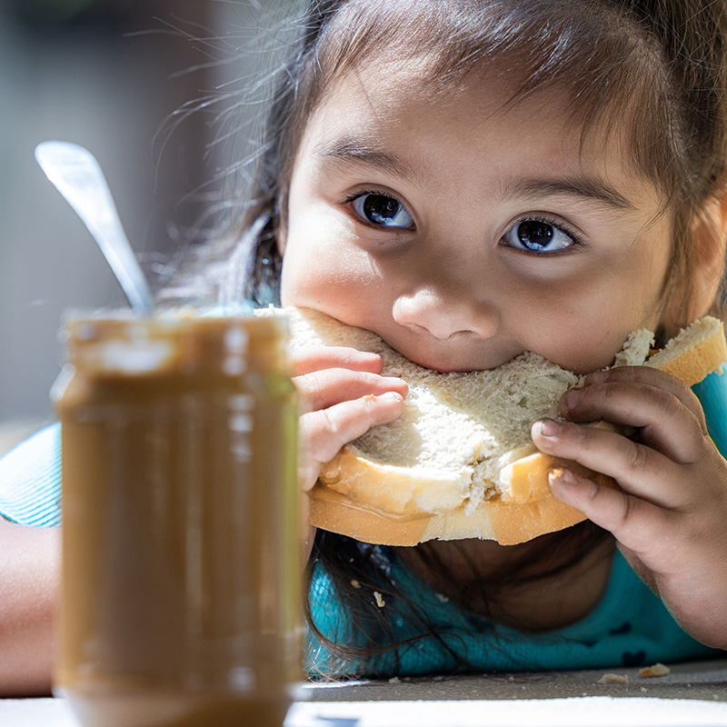 A young girl eating a peanut butter sandwich.